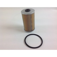 Filtro carburante nafta immerso per motore RUGGERINI rd951/2 crd100/2 | NewgardenParts.com