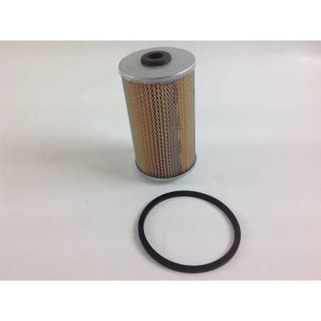 Naphtha-Tauchkraftstofffilter für RUGGERINI rd951/2 crd100/2 Motor | NewgardenParts.com