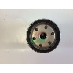 ORIGINAL KOHLER LOMBARDINI Rasentraktor Kraftstofffilter 2175288 | NewgardenParts.com