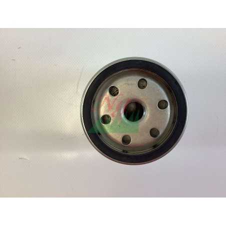 Filtro carburante ORIGINALE KOHLER LOMBARDINI trattorino tagliaerba 2175288