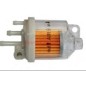 Fuel filter ROBIN lawn mower 110010