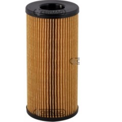 Filtro gasolio motore macchina agricola MASSEY FERGUSON MF481 - MF492 - MF5425 | NewgardenParts.com