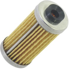 Filtro gasolio trattorino tagliaerba motore LOMBARDINI 15LD225 | NewgardenParts.com