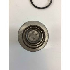 Filtro de combustible compatible con FIAT 1909109 | NewgardenParts.com