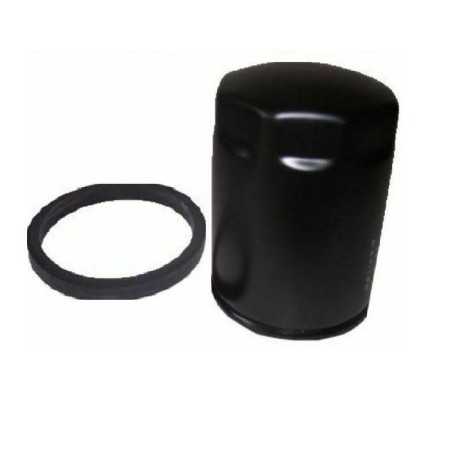 External fuel filter DIESEL agricultural engine RUGGERINI RF RD high 07.054 175.19 | NewgardenParts.com