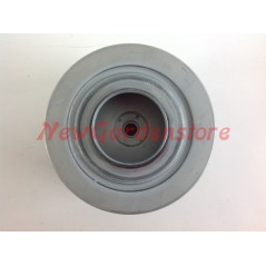 Filtro nafta motore CASE IH motocoltivatore CVX120 130 150 170 47108132 12724 | NewgardenParts.com