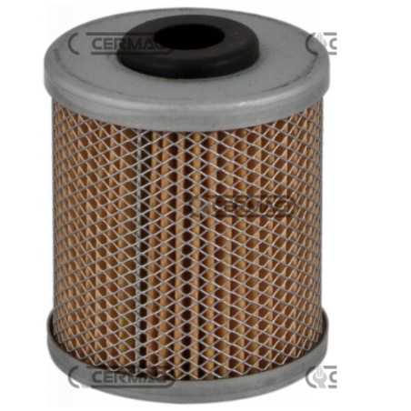 Fuel filter agricultural machine engine PASQUALI with filter attached to tank | NewgardenParts.com