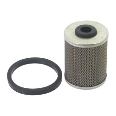 Filtro nafta motore motocoltivatore RF80 RF81 RUGGERINI 351022 | NewgardenParts.com