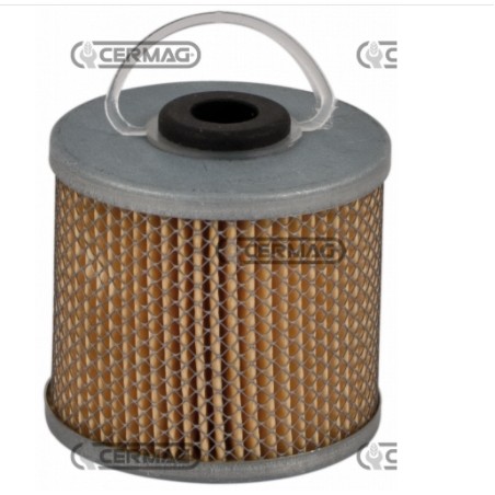 Filtro nafta per motore macchina agricola FENDT F 12 HL - F 18 G - F 20 GH | NewgardenParts.com