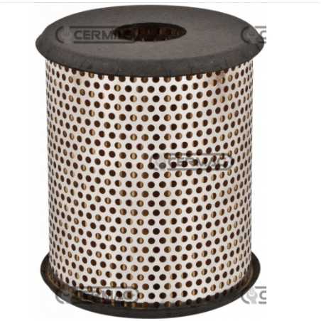 Oil filter immersed agricultural machine engine LOMBARDINI 7LD600 - 7LD665 | NewgardenParts.com