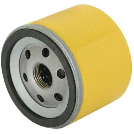 Motorölfilter B&S Rasenmähertraktor original intek 280000 | NewgardenParts.com