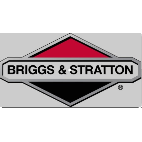 Albero motore rasaerba originale BRIGGS & STRATTON 694440 | NewgardenParts.com