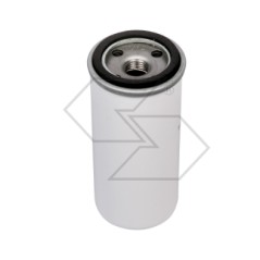 Filtro olio per motore RUGGERINI AD1100-1200 CRD 95-100-951 P101-105 RP178 RW140 | NewgardenParts.com