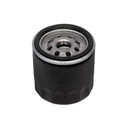 Ölfilter für TORO-Getriebe 10 microns Motor | NewgardenParts.com