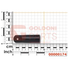 Forcella di collegamento ORIGINALE GOLDONI 00000174 | NewgardenParts.com