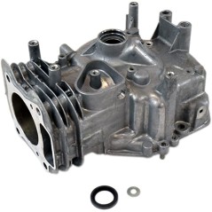 Original BRIGGS & STRATTON Motor-Zylinder-Baugruppe mit Ölwanne enthalten