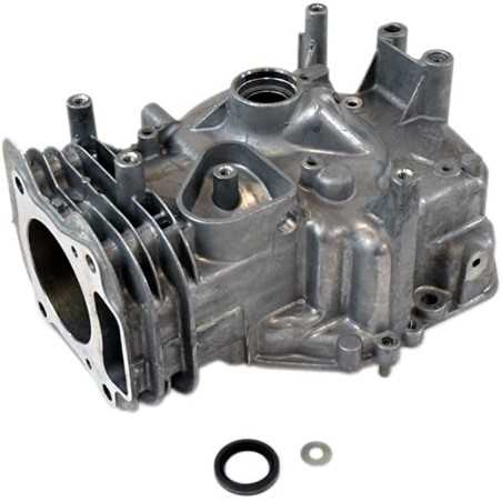 Conjunto original de cilindro de motor BRIGGS & STRATTON con cárter de aceite incluido | NewgardenParts.com