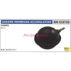 Assieme membrana accumulatore UNIVERSALE pompa Bertolini 85S 018736 | NewgardenParts.com