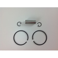 Cilindro pistone segmenti KAWASAKI motore decespugliatore TH 43 001132 | NewgardenParts.com