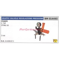 Gruppo valvola regolazione pressione UNIVERSALE pompa Bertolini C 75P 014493 | NewgardenParts.com