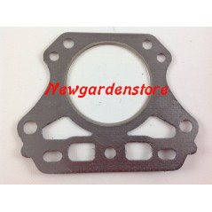 Guarnizione cilindro ORIGINALE KAWASAKI FH430V 11004-7018 | NewgardenParts.com