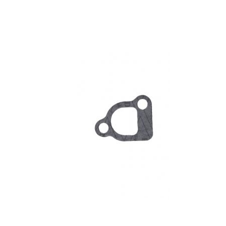 BRIGGS&STRATTON Auspuffkrümmerdichtung 296442 296447 305440 | NewgardenParts.com