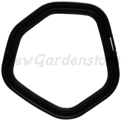 Guarnizione coperchio valvole trattorino rasaerba originale LONCIN 3808404250001 | NewgardenParts.com