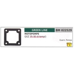 Guarnizione GREENLINE motopompa QGZ 25 30 4 TEMPI 022529 | NewgardenParts.com