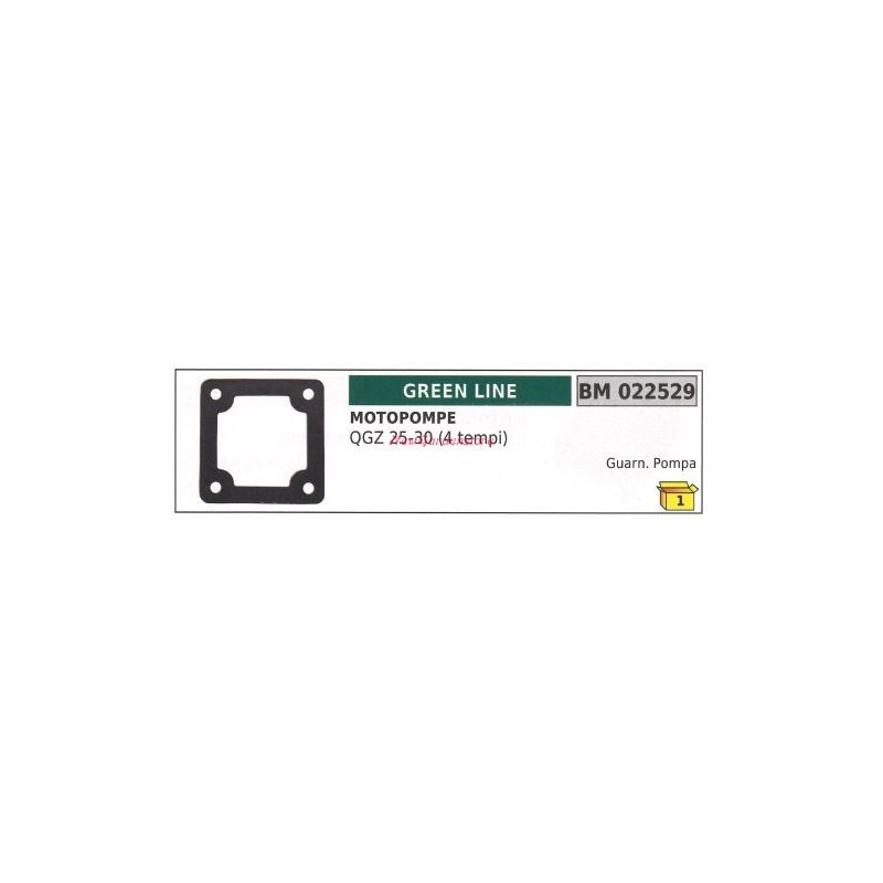 Guarnizione GREENLINE motopompa QGZ 25 30 4 TEMPI 022529