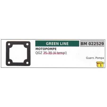 Junta bomba motor GREENLINE QGZ 25 30 4-STROKE 022529 | NewgardenParts.com