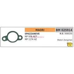 Guarnizione MAORI spazzaneve MP976 AET 1174AE 025914 | NewgardenParts.com