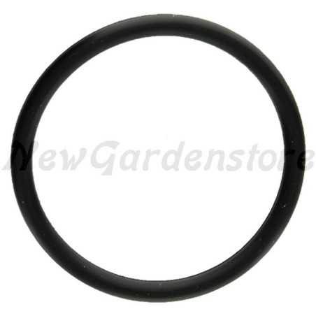 Retén de aceite para tractor de césped compatible BRIGGS&STRATTON 691870 | NewgardenParts.com