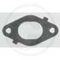 Original BRIGGS & STRATTON junta motor cortacésped