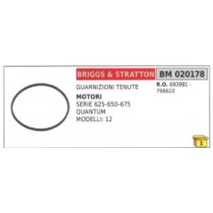 Guarnizione tenuta BRIGGS & STRATTON Serie 625-650-675 QUANTUM 693981 - 796610 | NewgardenParts.com