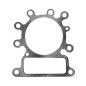 BRIGGS & STRATTON Rasentraktor Motor Zylinderkopfdichtung 273280S