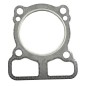 BRIGGS & STRATTON Rasentraktor Motor Zylinderkopfdichtung 793455