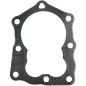 BRIGGS & STRATTON Rasenmähermotor Kopfdichtung 799874 709824