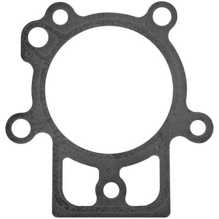 BRIGGS & STRATTON Kopfdichtung für Rasentraktor-Mähermotor 694872 | NewgardenParts.com