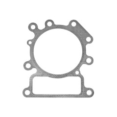 BRIGGS & STRATTON Dichtung für den Motorkopf eines Rasentraktors 794114 | NewgardenParts.com