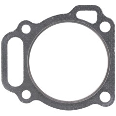BRIGGS & STRATTON Kopfdichtung für Rasenmähermotor 799534 | NewgardenParts.com
