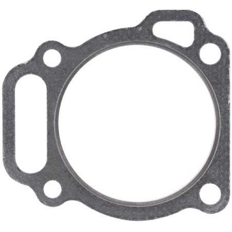 BRIGGS & STRATTON Kopfdichtung für Rasenmähermotor 799534 | NewgardenParts.com