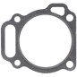 BRIGGS & STRATTON Kopfdichtung für Rasenmähermotor 799534