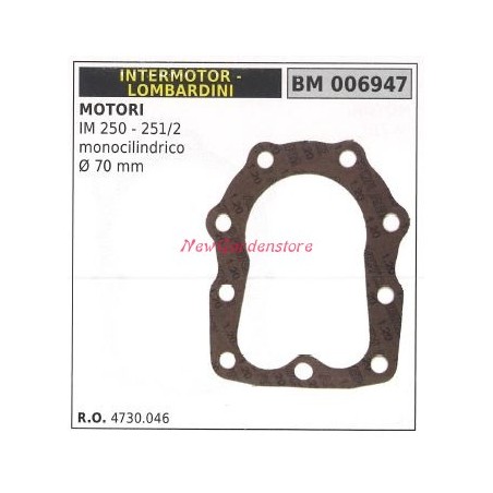 Guarnizione TESTA testata INTERMOTOR motocoltivatore IM 250 IM 251/2 006947 | NewgardenParts.com