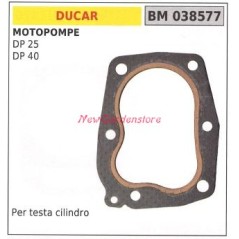 Guarnizione testata DUCAR motopompa DP 25 40 038577 | NewgardenParts.com