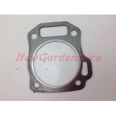 Guarnizione testata DUCAR motopompa DP80 DPT 80 038098 | NewgardenParts.com