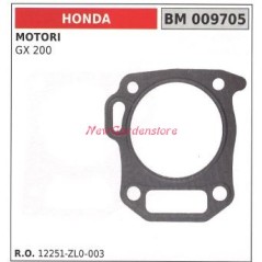 Guarnizione testata HONDA motopompa GX200 009705 | NewgardenParts.com