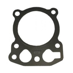 Guarnizione testata per Motore KOHLER CH11-CH14 CV11-CV15 | NewgardenParts.com