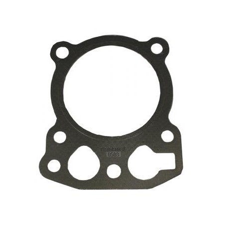 Guarnizione testata per Motore KOHLER CH11-CH14 CV11-CV15 | NewgardenParts.com