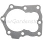 Lawn tractor head gasket BRIGGS & STRATTON compatible 799875 Lawn tractor head gasket BRIGGS & STRATTON compatible 799875