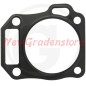 ORIGINAL LONCIN Rasentraktor Kopfdichtung 120150070-0001